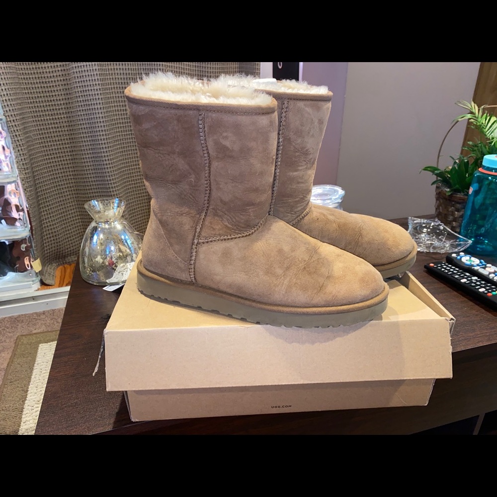 Chestnut UGG boots! Classic short!